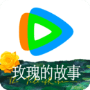 阴蛋阳蛋是什么意思啊